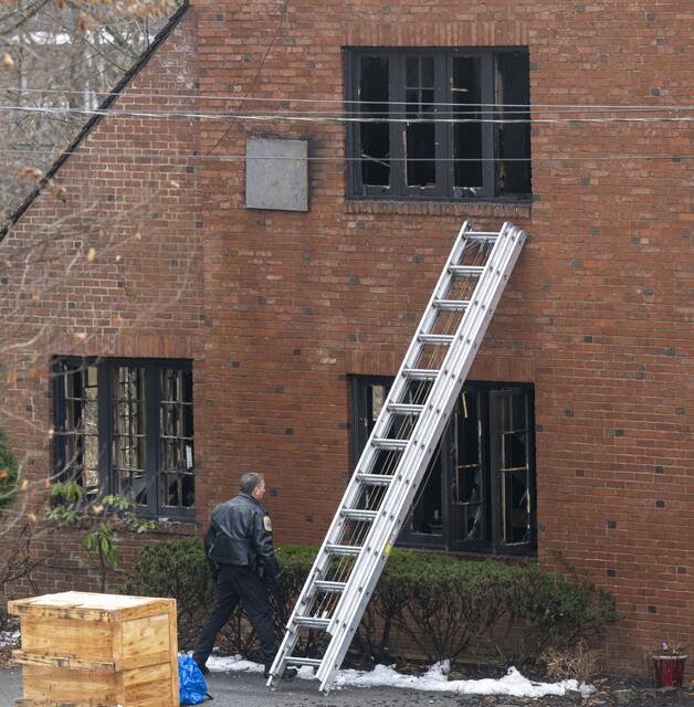 9138578_web1_VND-FoxFire103-121925