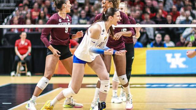 Slide 
													
													2