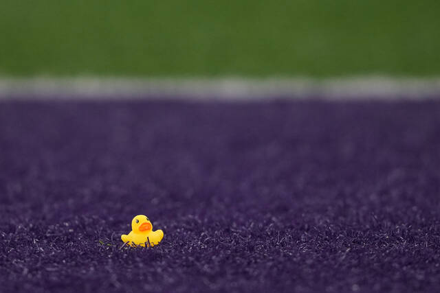 Slide 
													
													5