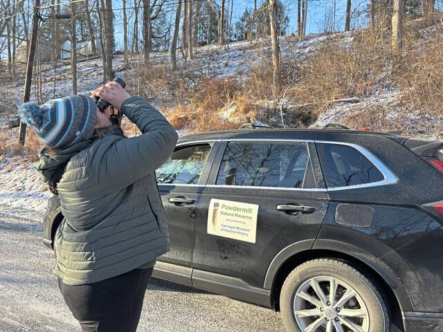 Slide 
													
													2