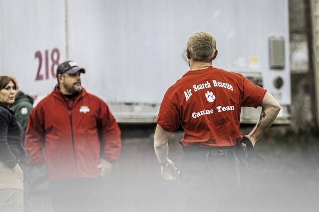 Slide 
													
													3