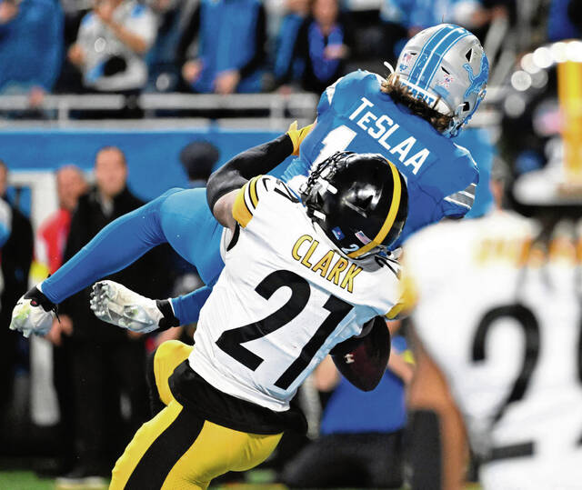 Slide 
													
													19