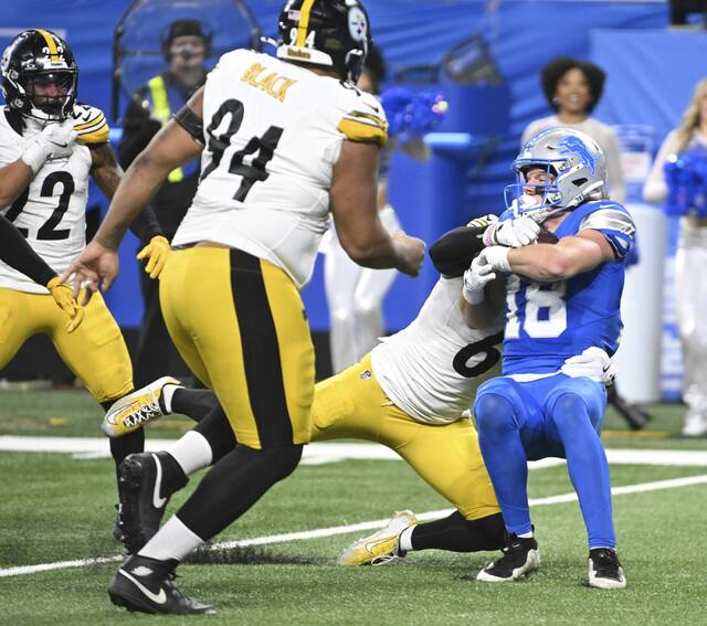 Slide 
													
													17