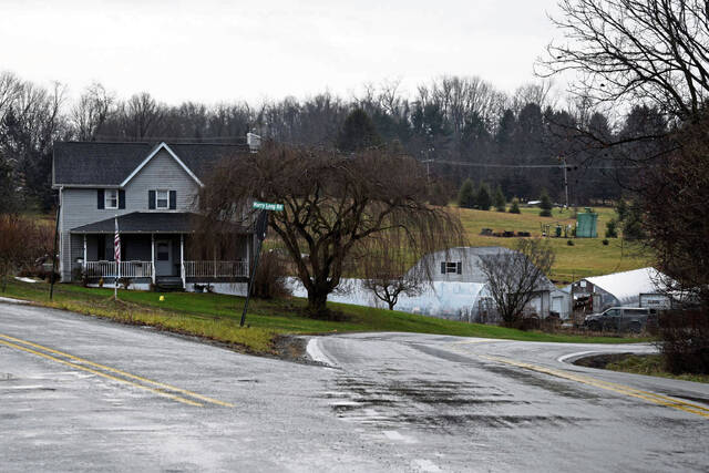 Slide 
													
													2