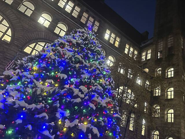 
			
				                                Will it be a white Christmas this year? (Justin Vellucci | TribLive)

			
		