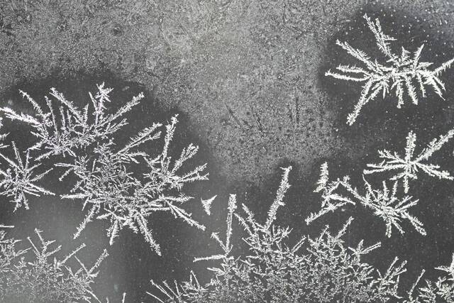 Alle-Kiski Senior Citizen News – Dec. 28, 2025