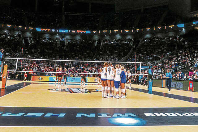 9151713_web1_gtr-pitthuddle-121925