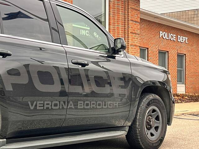 Man charged with trying to pull gun on police in Verona
