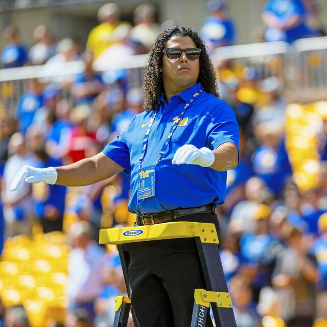 Slide 
													
													3