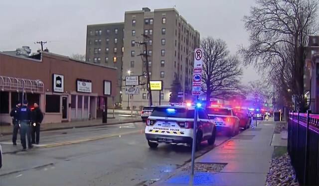 Suspect in Shadyside shooting told victim he wanted to kill himself, police say