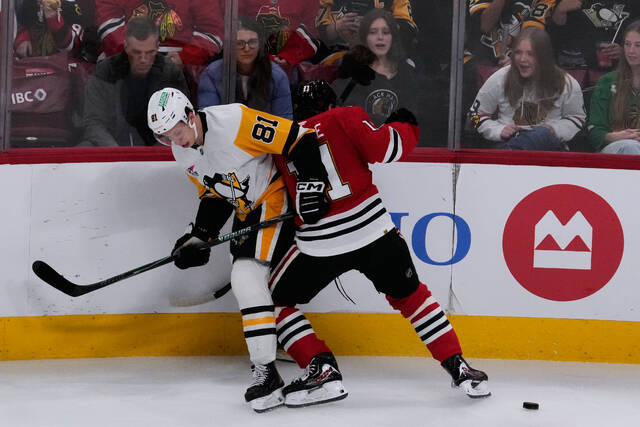 Slide 
													
													6