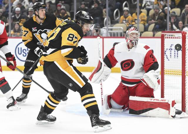 Slide 
													
													3