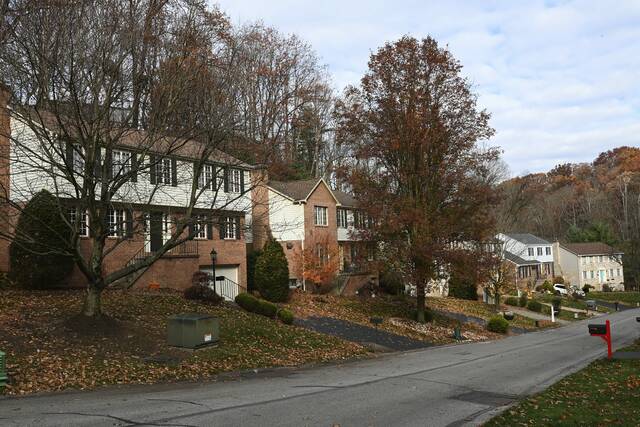 Slide 
													
													2