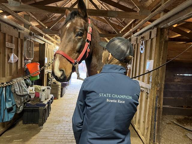 Slide 
													
													2