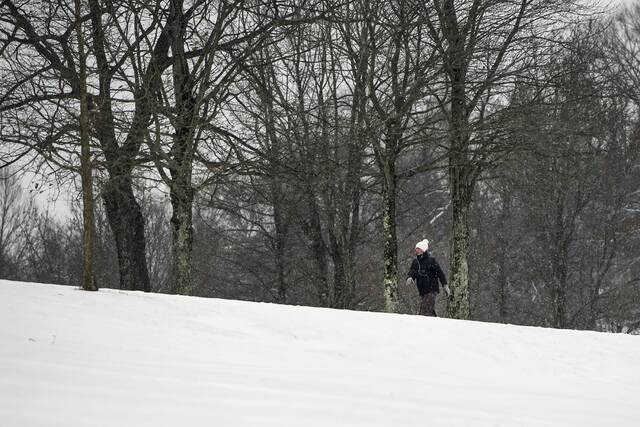 Slide 
													
													3