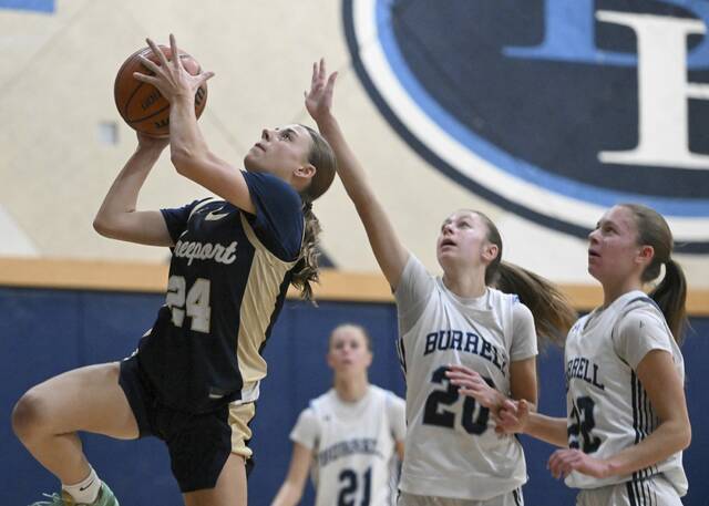 Slide 
													
													12