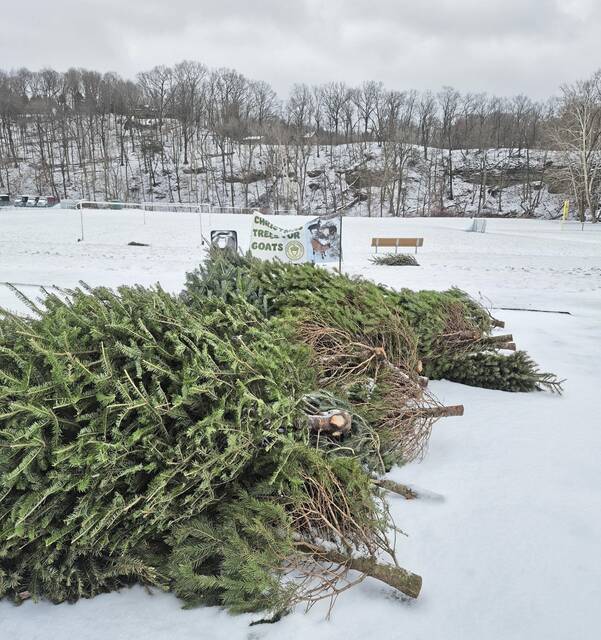 Slide 
													
													5