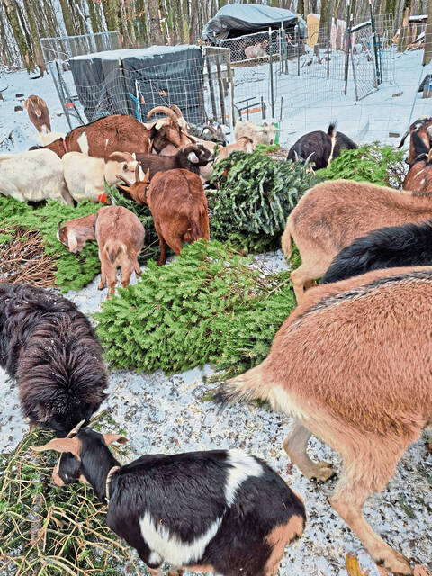 Slide 
													
													3