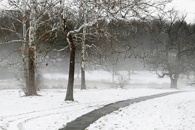 Slide 
													
													8