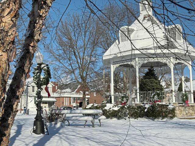 Slide 
													
													3