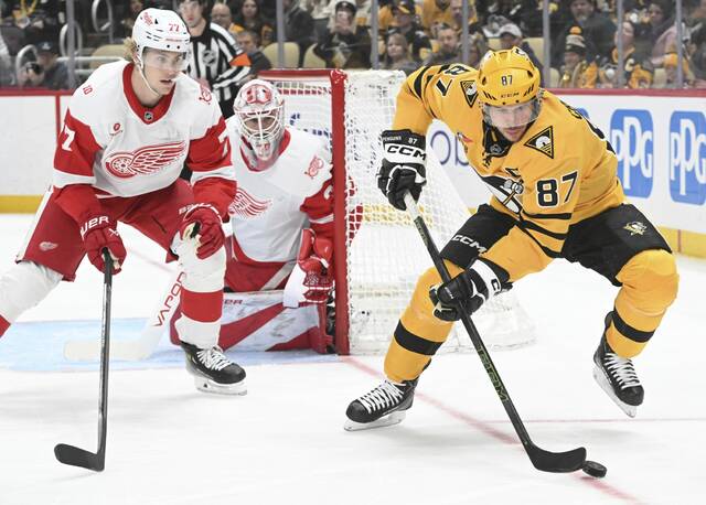 Slide 
													
													12