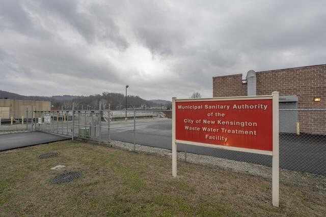 Slide 
													
													2