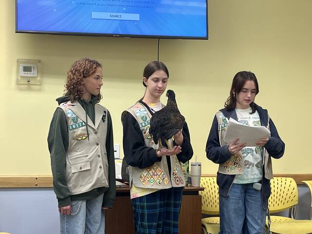 Girl Scout trio raises chickens for West View Urban Farm to help address food insecurity