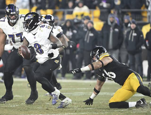 Slide 
													
													12