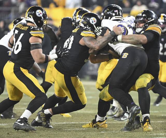 Slide 
													
													13