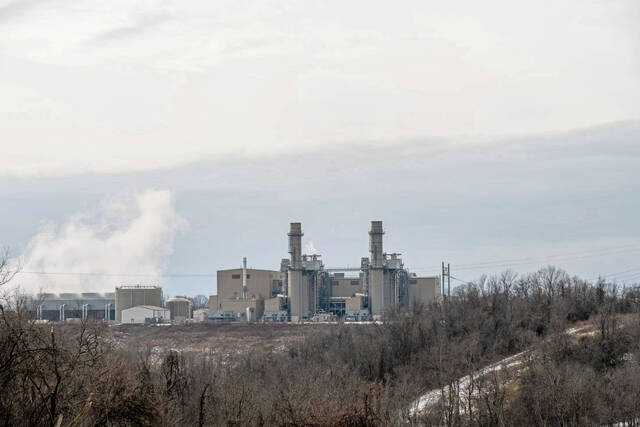 Slide 
													
													2