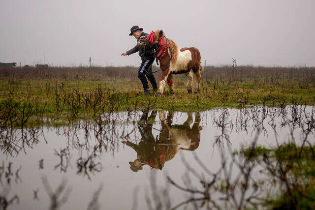 Slide 
													
													5