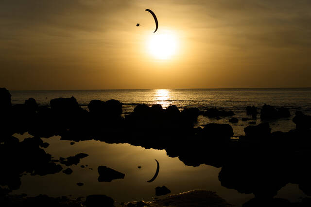 Slide 
													
													8