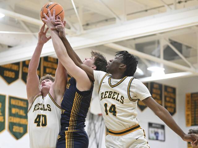 Slide 
													
													5