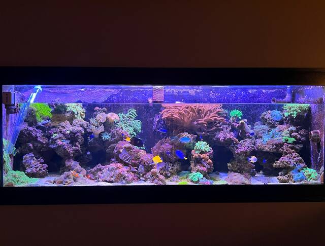 Slide 
													
													5