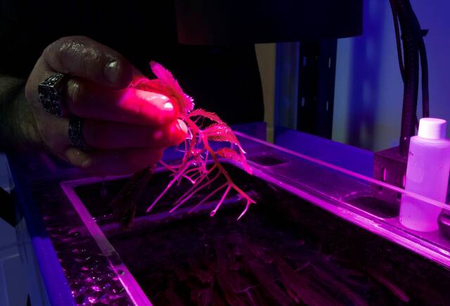 Slide 
													
													8