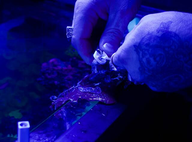 Slide 
													
													9