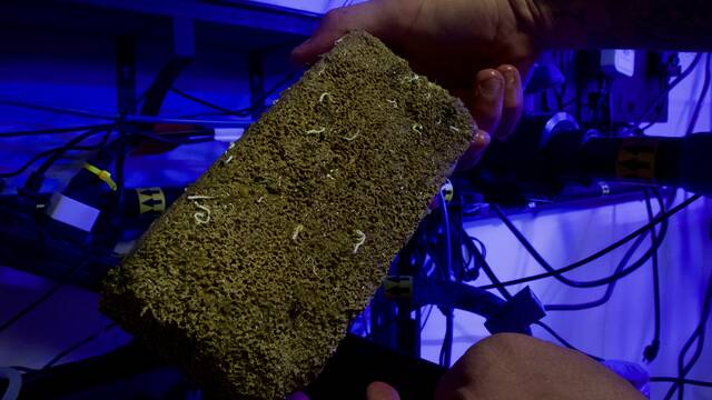 Slide 
													
													6