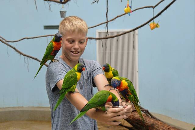 9180945_web1_part-aviaryjanmike4-011226