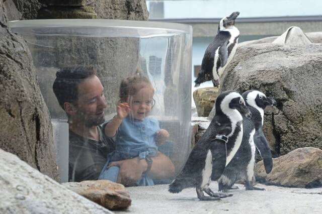 9180945_web1_part-aviaryjanmike6-011226