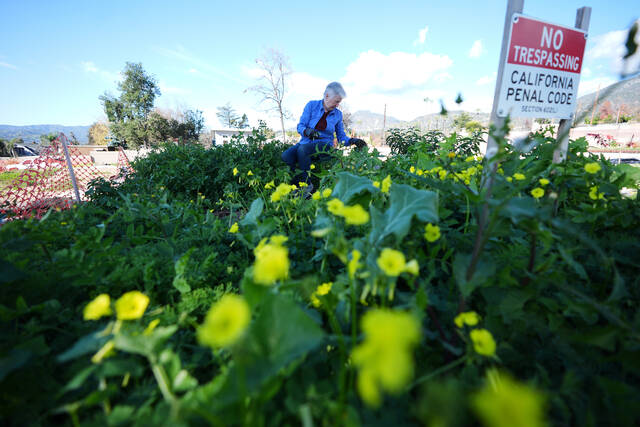 Slide 
													
													3