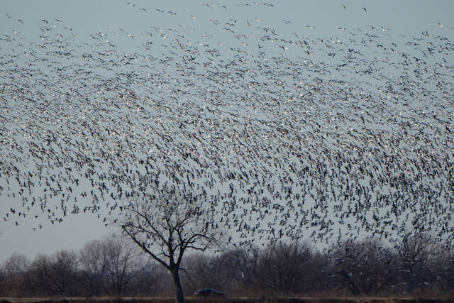 Slide 
													
													4