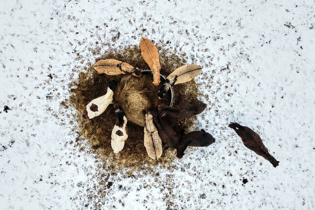 Slide 
													
													10