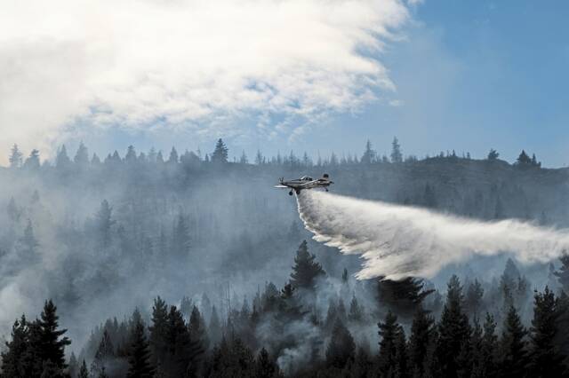 Slide 
													
													2