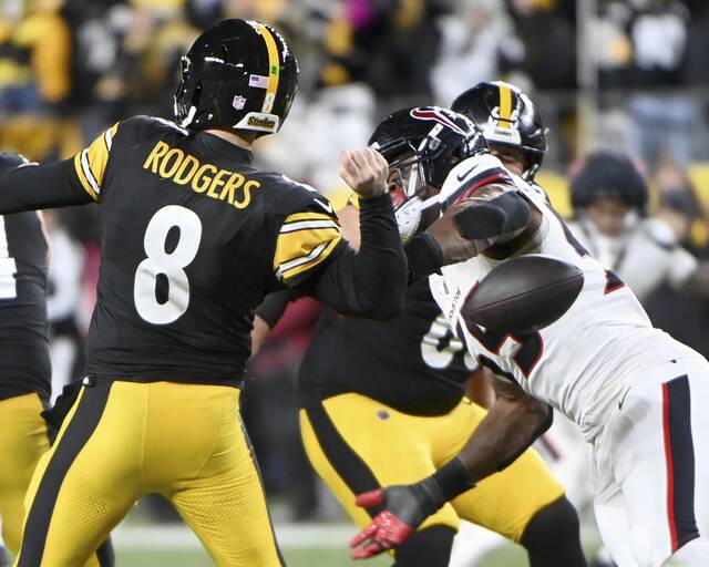 Photos from around the world to our backyard