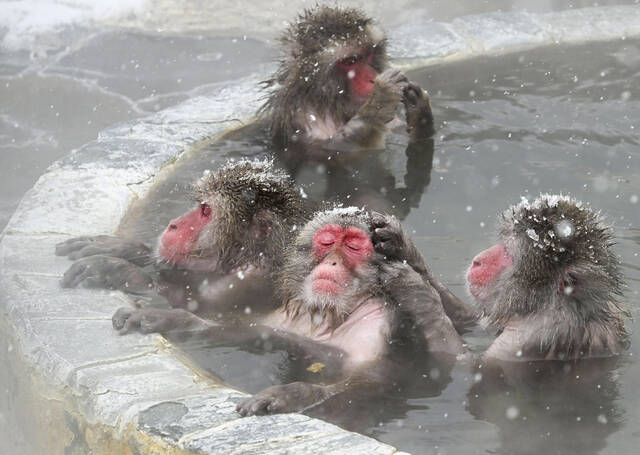 Slide 
													
													4