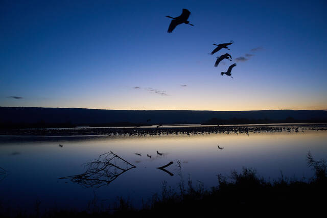 9182107_web1_ap26015282120826