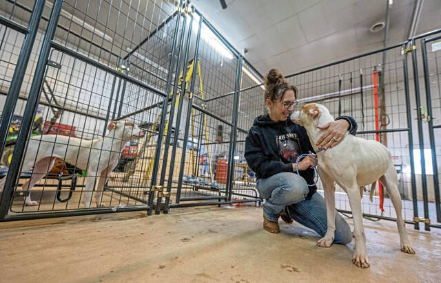No-kill animal control making inroads with municipal contracts