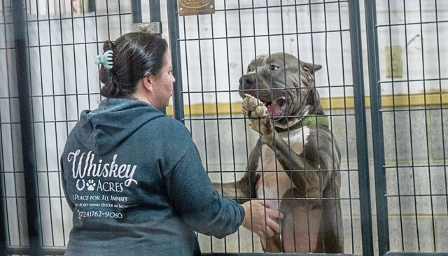 Slide 
													
													2