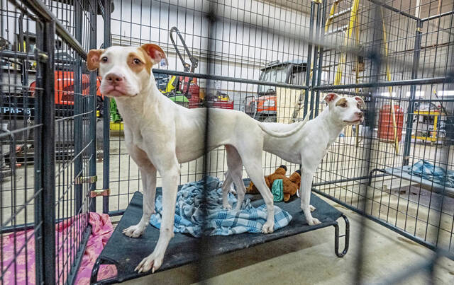 Slide 
													
													4