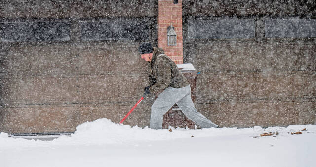 Slide 
													
													11